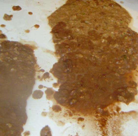 Huge Puke in the Bathtub vomit