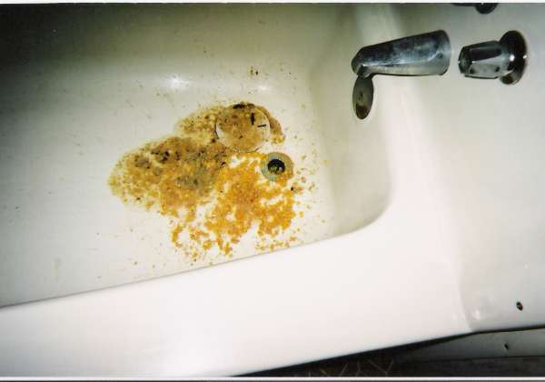 tequila n' corn vomit