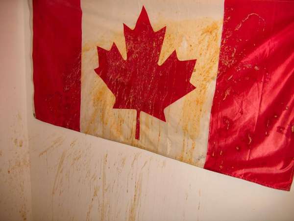 great canadian puke! vomit