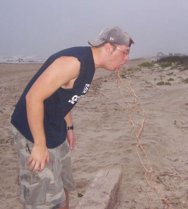 Who the hell said this was a good idea!!! vomit