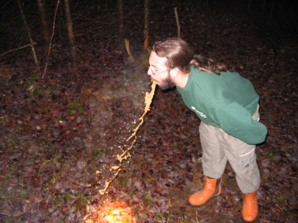 Quebecker's poutine vomit vomit