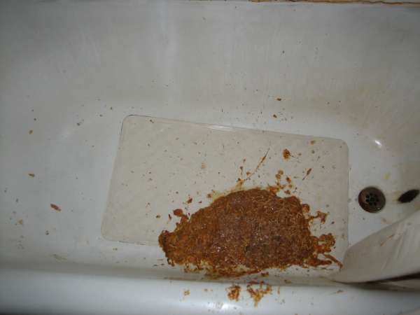 skyline and beer don't mix vomit