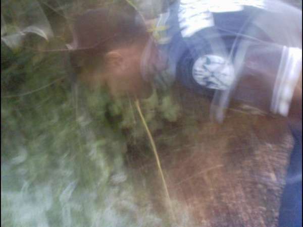 Garry and Vodka & Orange vomit