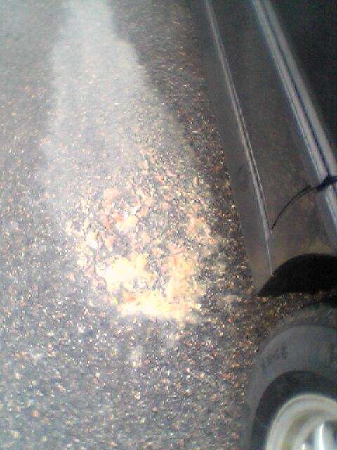 anna's Puke vomit