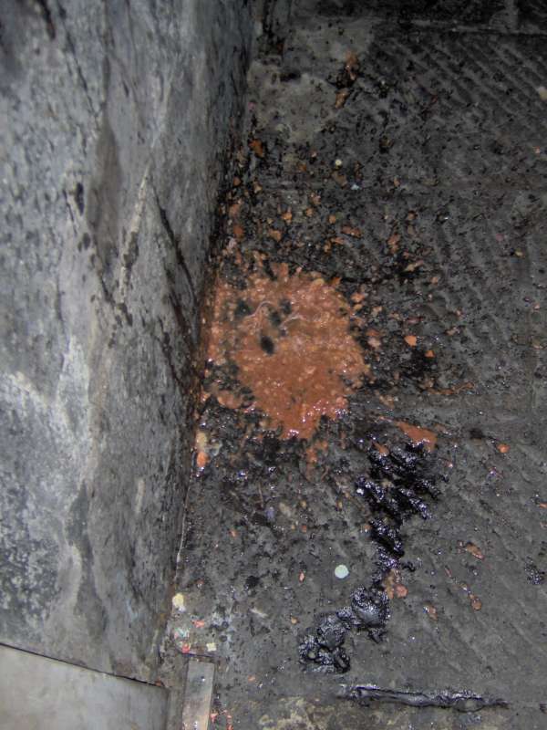 Spaghetti with...what? vomit