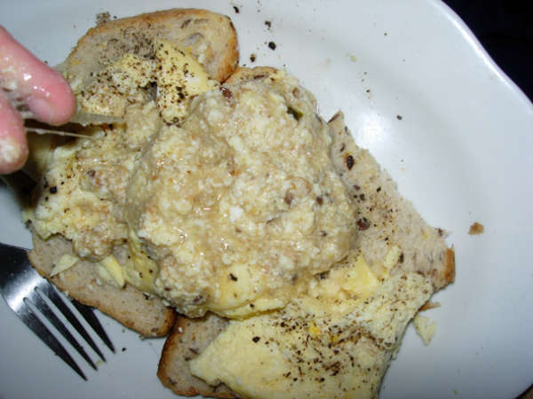 Vomit_on_toast.jpg vomit