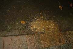 on the street vomit