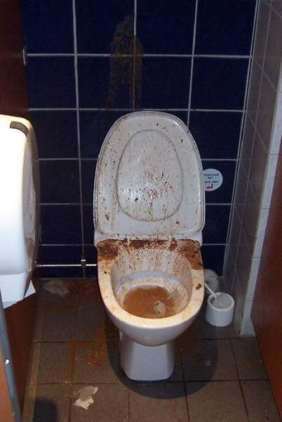 Toilet mayhem vomit