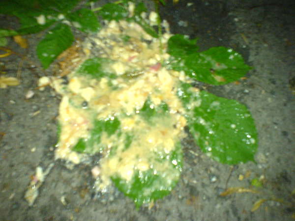 nasty salami pizza vomit