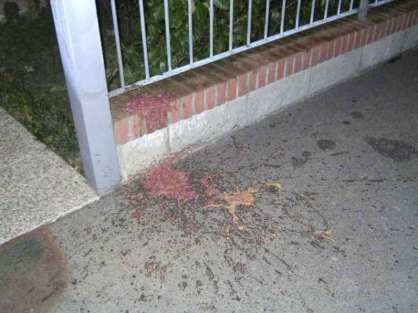 dopo un compleanno - VIGOLZONE vomit