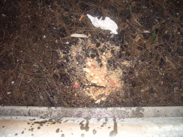 my best vomit!!! vomit