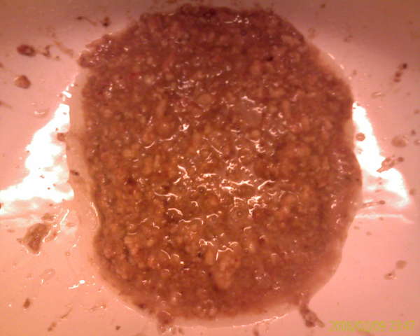 Dominos Pizza 2 vomit