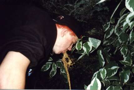 watering the tree... vomit