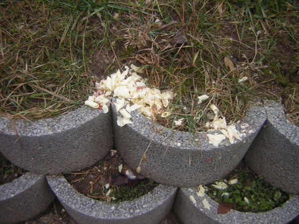 Sbocco Stevo 1 vomit