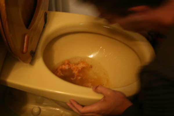 horse shaped vomit vomit