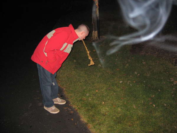 Triscuits DONT do the body good vomit