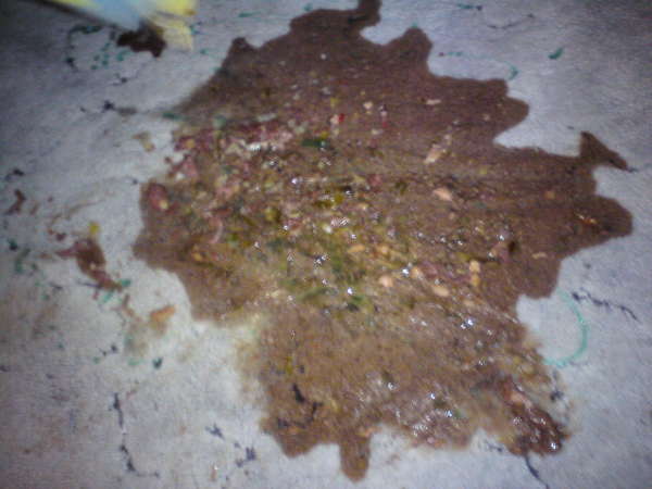 puking adventure2 vomit