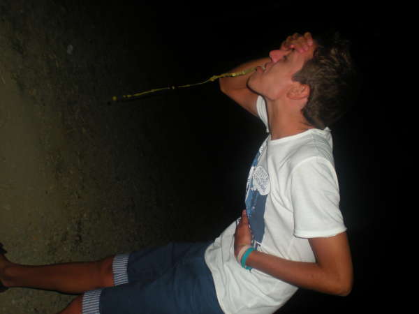 P.P.P.P Party everyday vomit