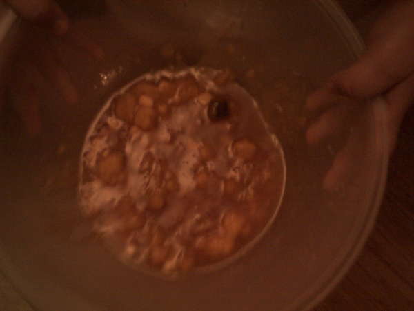 Mmm...hot stew on a snowy day... vomit