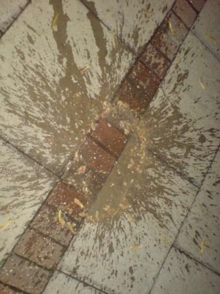 Splatttterr vomit