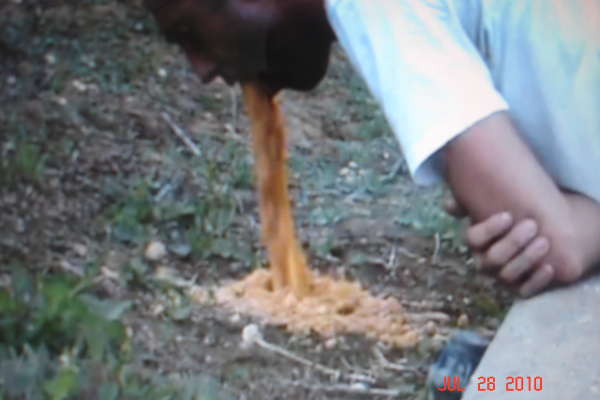 Chunky burrito vomit