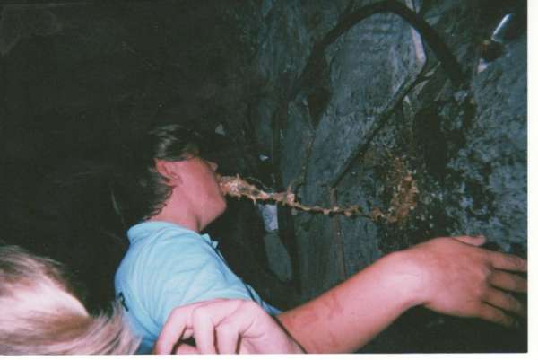 Liam in Tenerife ;D vomit