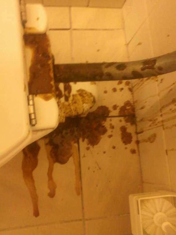 Awesome. It makes me hungry ! Shit ! :-) vomit