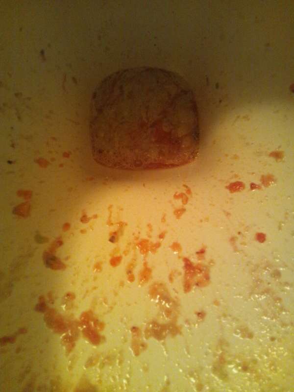 girls toilet 2 vomit