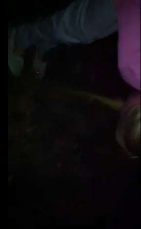 Sarah Drunk, Mid-Puke vomit