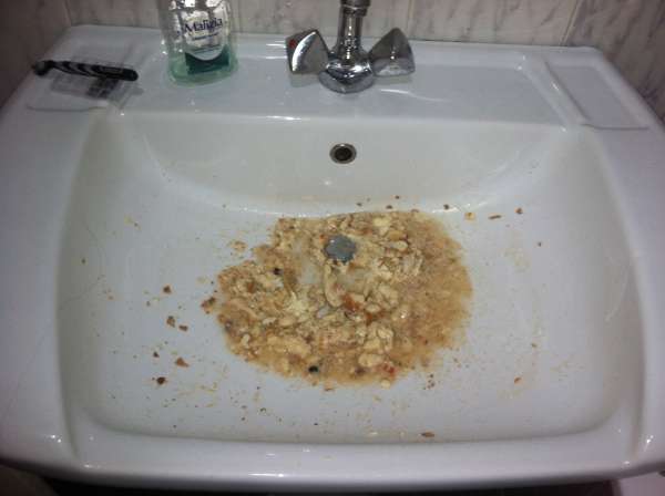 Chunk E. Cheese vomit