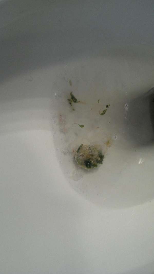 Vermont turkey? vomit