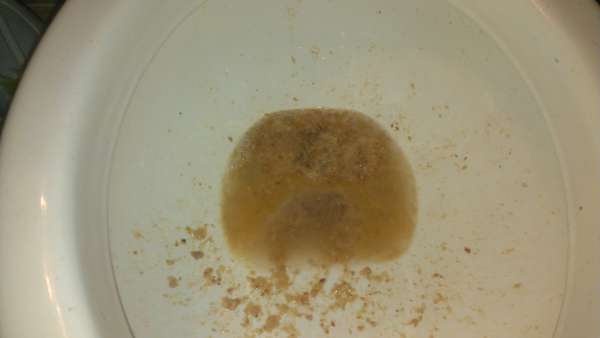 stoned and drunk vomit