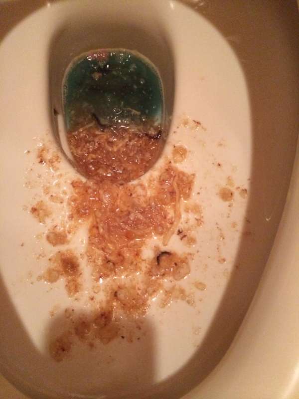 girls toiler (3) vomit