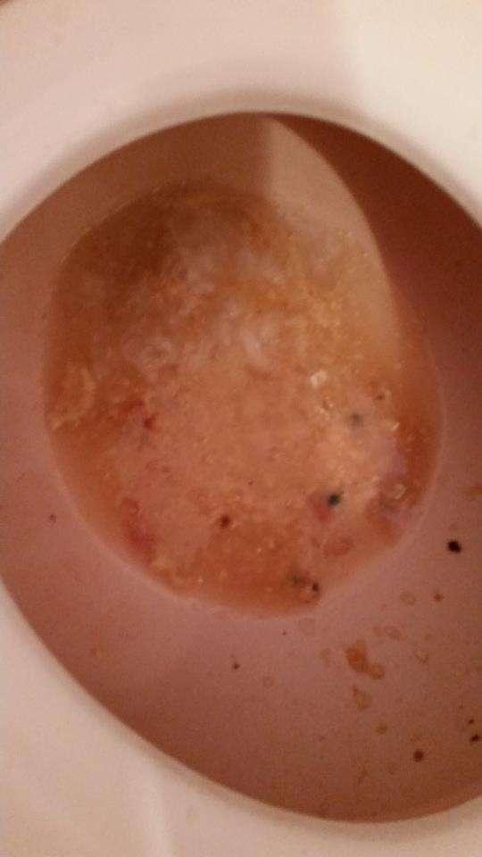 terrible night (vomit 5) vomit