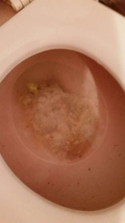 terrible night (vomit 6) vomit