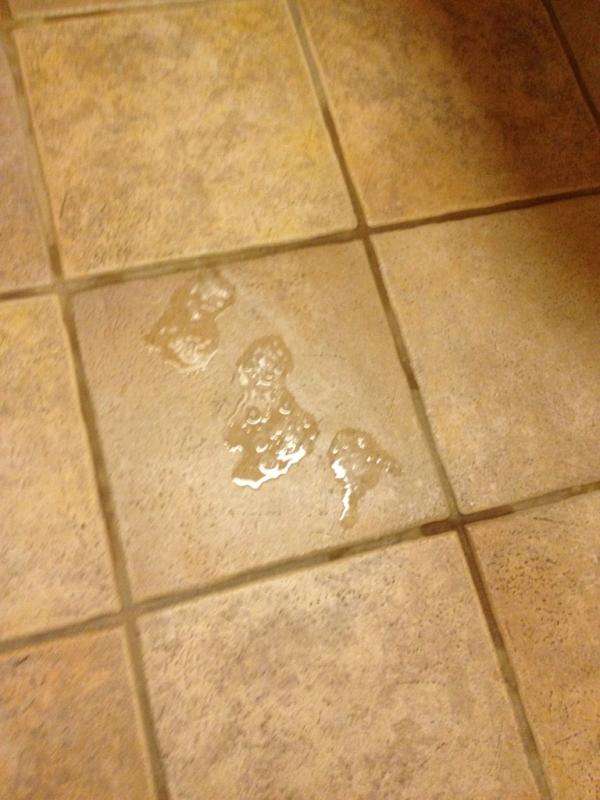 vomited on the floor in the toilet vomit