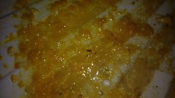 natasha and mangoes1 vomit