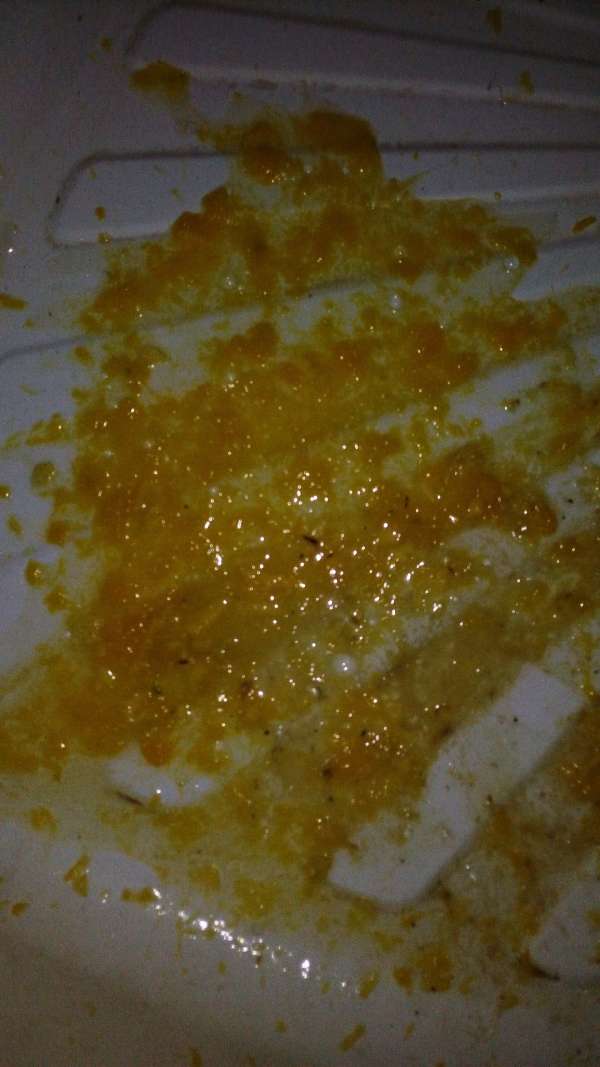 natasha and mangoes3 vomit