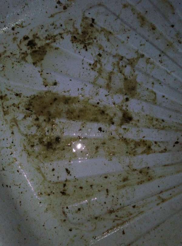 Cassava leaves and milk2 vomit