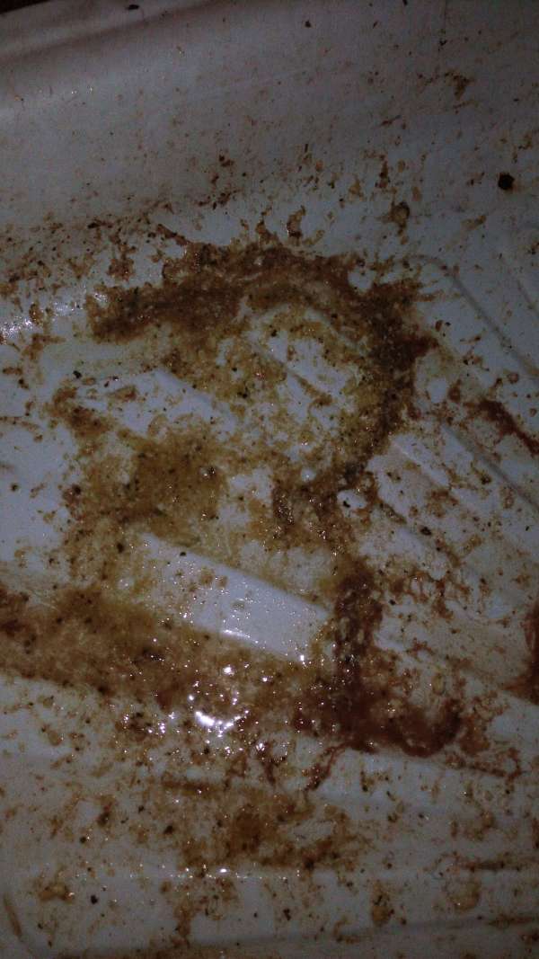 Natasha ate too much1 vomit