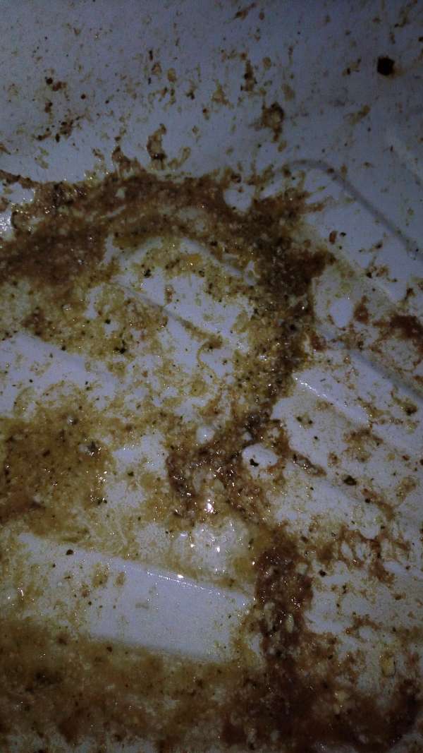 Natasha ate too much2 vomit