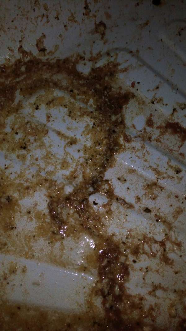 Natasha ate too much3 vomit