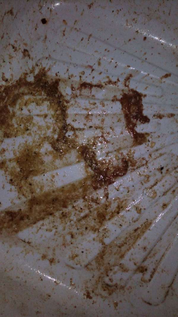 Natasha ate too much4 vomit