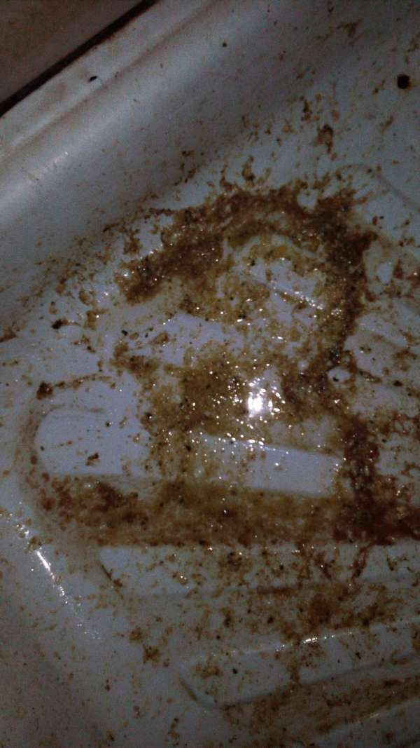 Natasha ate too much5 vomit Rate My Vomit Vomit Pictures