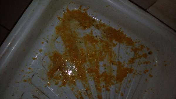 natasha purged herself3 vomit