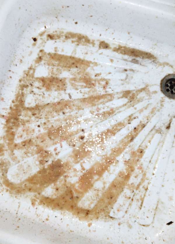 Natasha and fish soup2 vomit