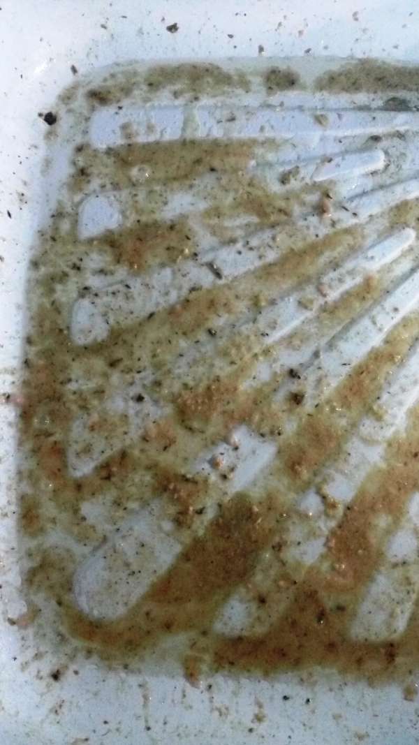 Natasha and fish soup3 vomit