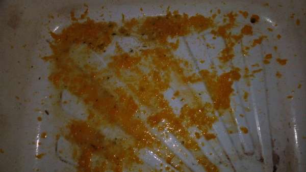 natasha purged herself5 vomit