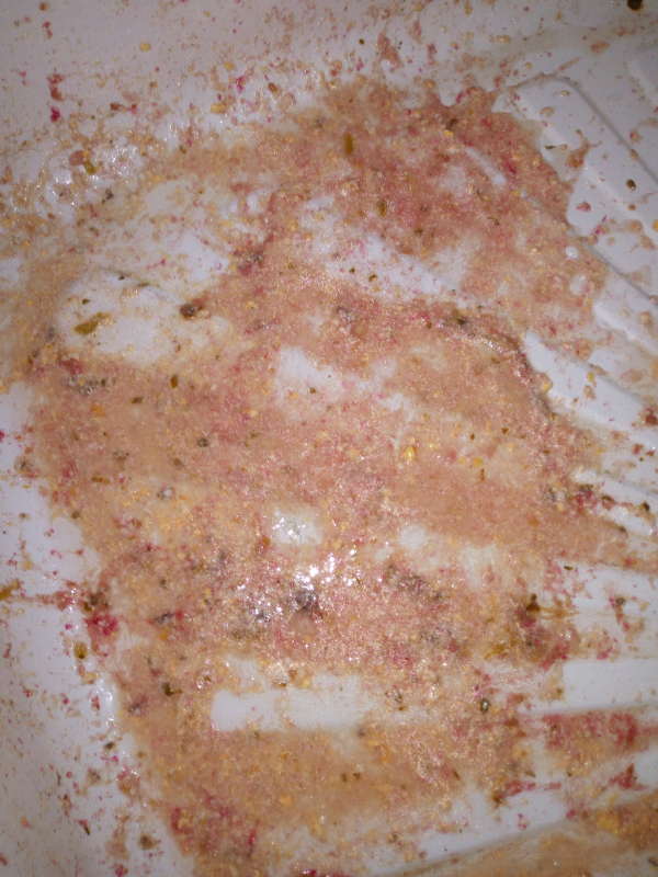 Natasha massive vomit1 vomit