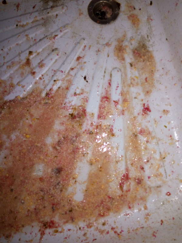 Natasha massive vomit4 vomit